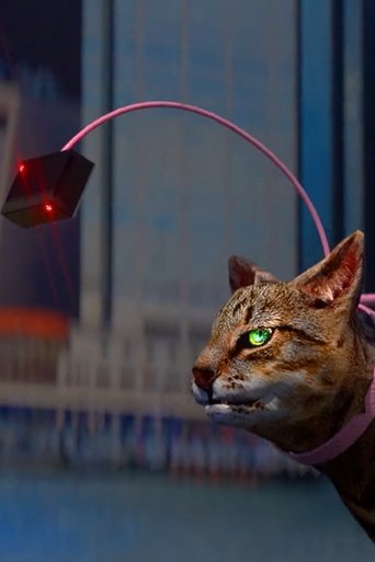 Catwalker and the Catwalker’s Intern poster