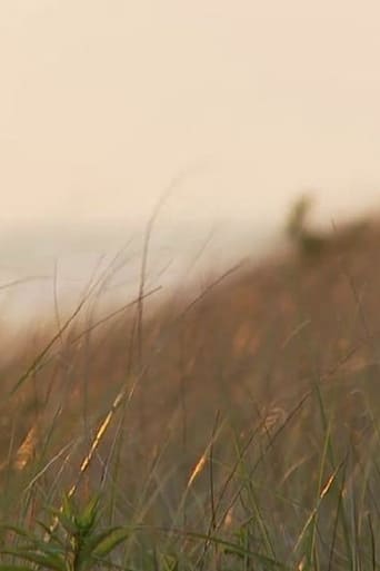 Journal of the No-Name Storm poster