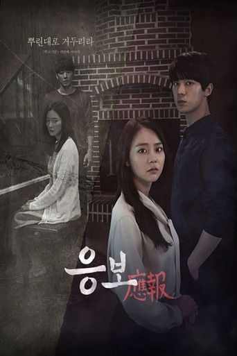 응보 poster