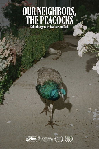 Our Neighbors, the Peacocks