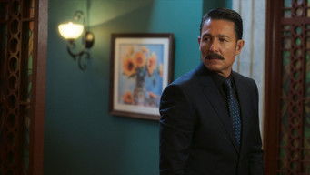 第43話:Regalo de bodas 第43話:Regalo de bodas