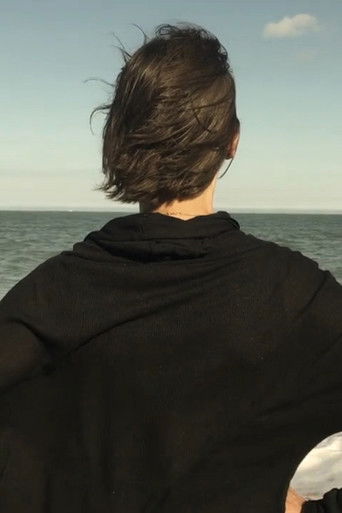 Between Dog and Wolf poster