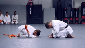 Okinawan Karate