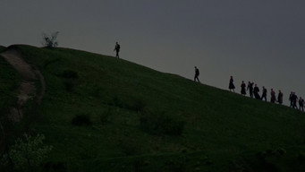 #70 Бруталіст