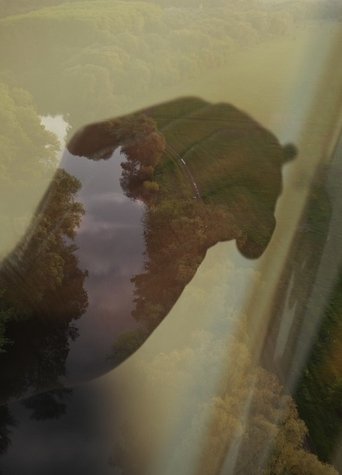 The Nature of Creativity poster