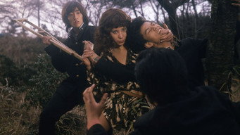 Вчителька Мейдзіка (1978)
