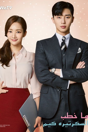 What's Wrong with Secretary Kim — Posters 23