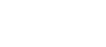 The Dictator's Playbook logo