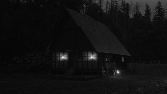 #30 Роза