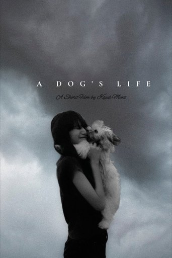 Vida de Cão