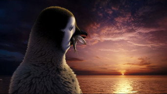 #30 Веселі ніжки 2