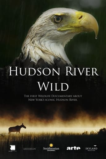 Hudson River - Der Fluss zwischen Wildnis und Skyline