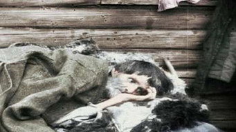 Сталін – червоний тиран (2007)