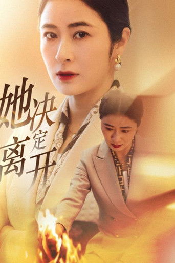 她决定离开 poster