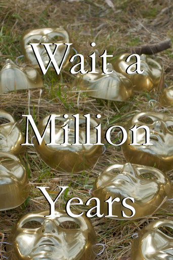 Wait a Million Years galeri 5