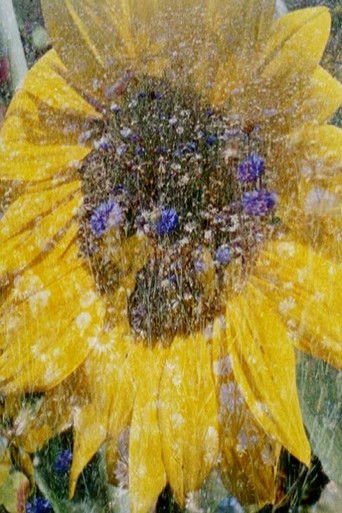 The Suns Tongue poster