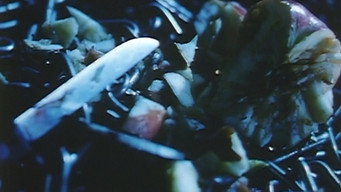 Sabaku (2000)