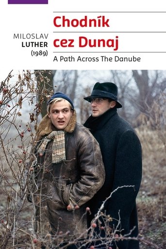 Poster of Chodník cez Dunaj