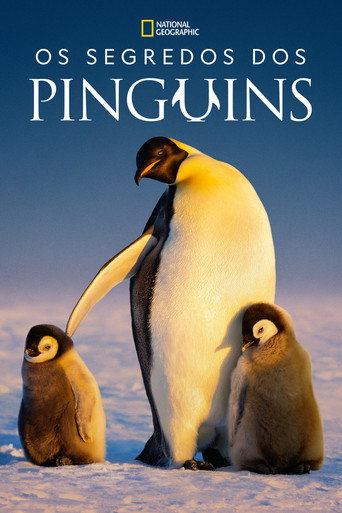 Os Segredos dos Pinguins