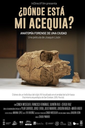 ¿Dónde está mi acequia? poster