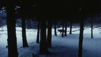 #5 Landscape Suicide