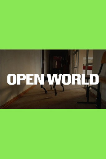 Open World