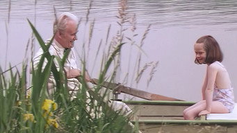 A Pin for the Butterfly (1994)