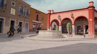 Galeria 5 - A Todas Partes