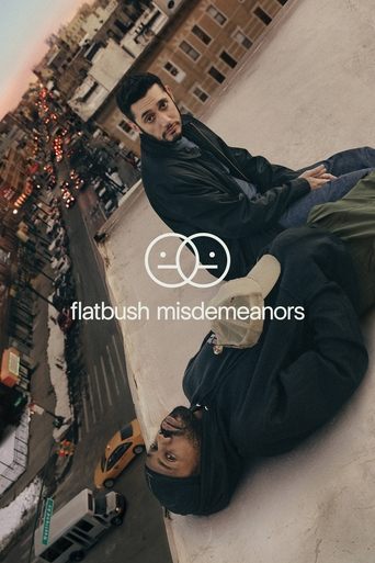 Flatbush Misdemeanors Poster