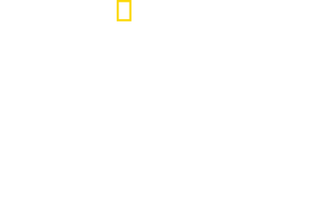 Drugs, Inc. logo