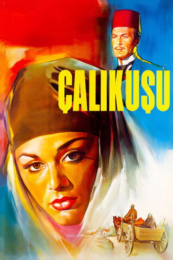 Çalıkuşu (1966)