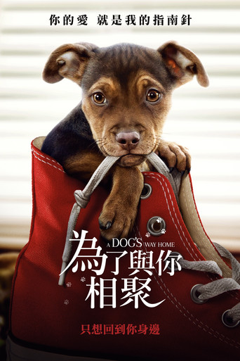 為了與你相聚