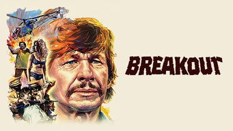 #4 Breakout