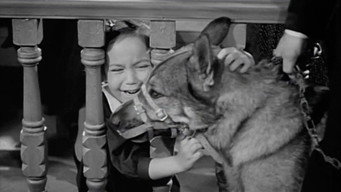 Killer-Dog (1936)