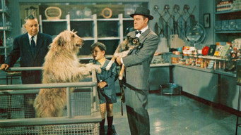That Certain Feeling (1956)