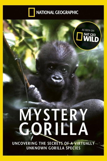 De mystiske gorillaer (2010)