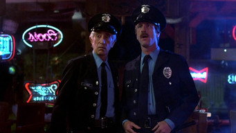 Night Patrol (1984)
