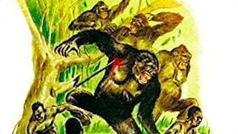 Congolaise (1950)