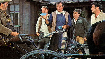 Still 6 from The Sons of Katie Elder