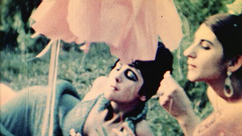 Normal Love (1963)