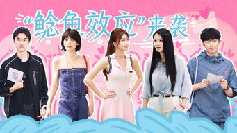 第4期下：“鲶鱼效应”来袭