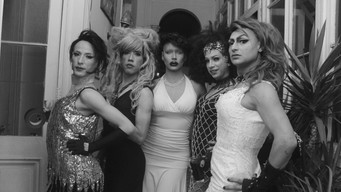 Travesti Odyssey (2021)