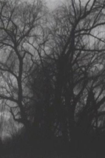 Late Autumn, Early Winter