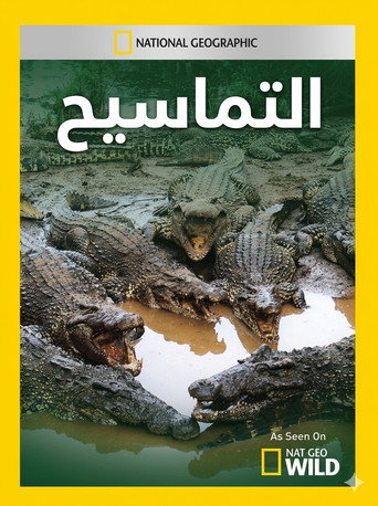 Crocpocalypse galeri 4
