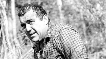 第2話：Der Mann im Baum