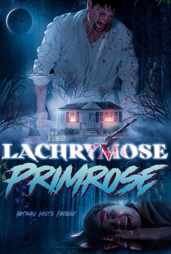 Lachrymose Primrose (2024)