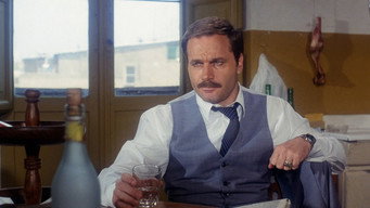 #16 The Salamander