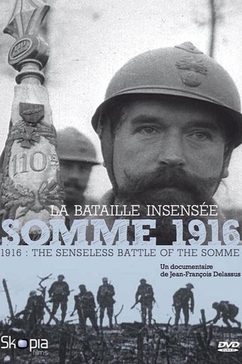 Somme 1916, la bataille insensée en streaming 