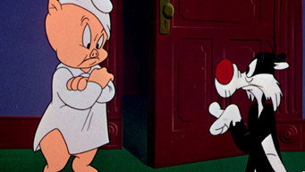 #8 Scaredy Cat