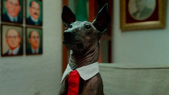 Una Película de Amor y Guerra – Szenenbild